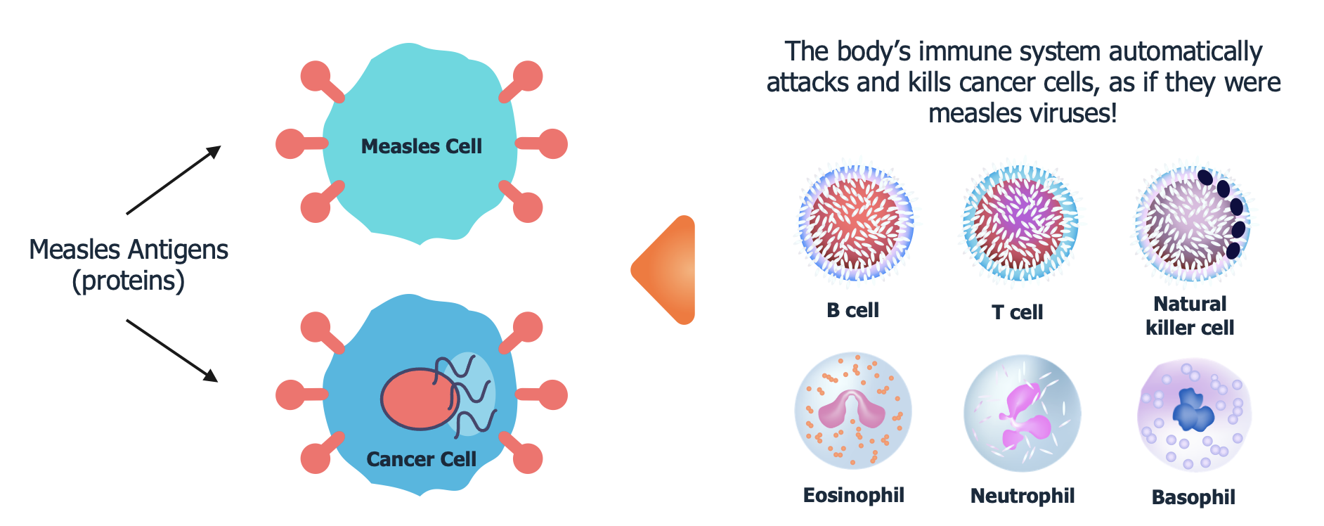 cancer cell detection