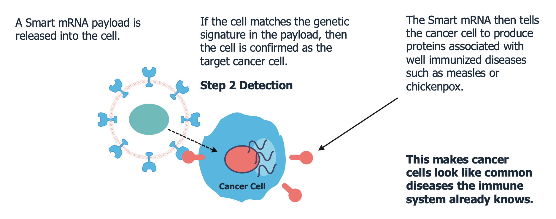 cancer cell detection